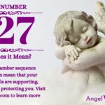 numerology number 827