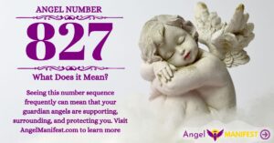 numerology number 827