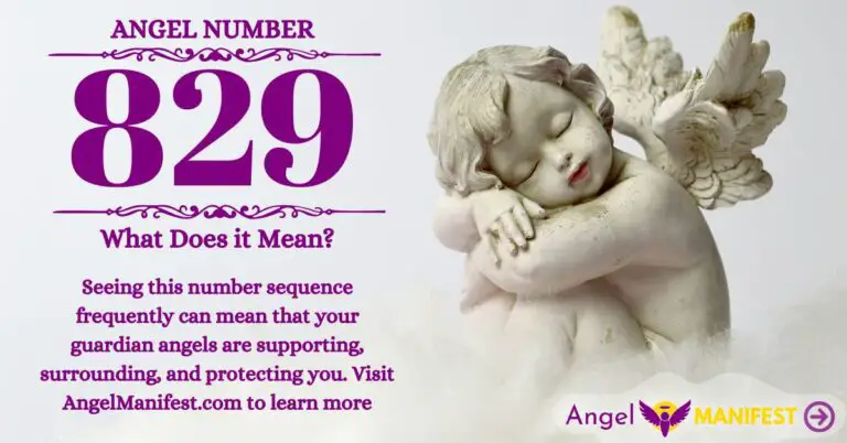 numerology number 829