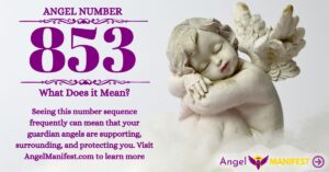 numerology number 853
