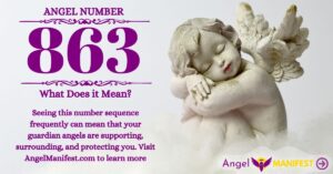 numerology number 863
