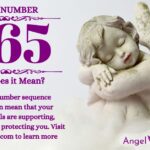 numerology number 865