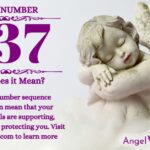 numerology number 837