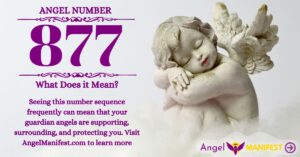 numerology number 877